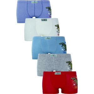 Erkek Çocuk Boxer 5'li Paket Karışık Renk Baskılı Boxer BYO2563