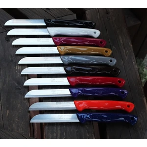 Solingen Meyve Sebze Bıçağı 6 Adet Simli Desen Sapı Delikli  (1.kalite,tırtıklı)