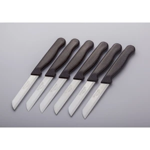 Solingen Meyve Sebze Bıçağı 12 Adet Simli Desen   (1.kalite,tırtıklı)