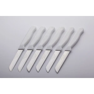  Solingen Meyve Sebze Bıçağı 6 Adet Simli Desen   (1.kalite,tırtıklı)