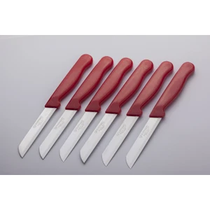  Solingen Meyve Sebze Bıçağı 6 Adet Simli Desen   (1.kalite,tırtıklı)