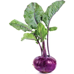 Reyon Ermenek Doğal Mor Kohlrabi (Alabaş) Tohumu (20 Tohum)