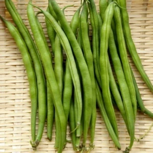 Reyon Ermenek Doğal Oturak Börülce Tohumu (20 Tohum)