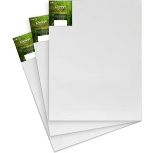 hobi Tuval Resim Tuvali Ahşap Çerçeve 25 x 35 cm 3’lü
