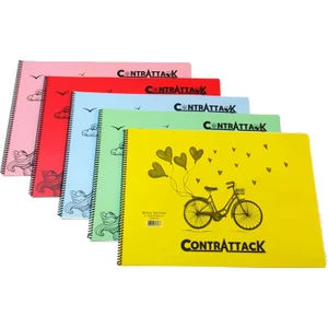 3 Adet Plastik Kapak Spiralli Resim Defteri 35 x 50 cm 25 Yaprak