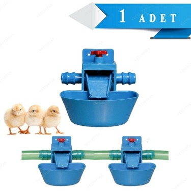 Endiket Tavuk Civciv Sulugu 1 Adet Otomatik Akilli Tavuk Fiyati Endiket Tavuk Civciv Sulugu 1 Adet Otomatik Akilli Tavuk Fiyati