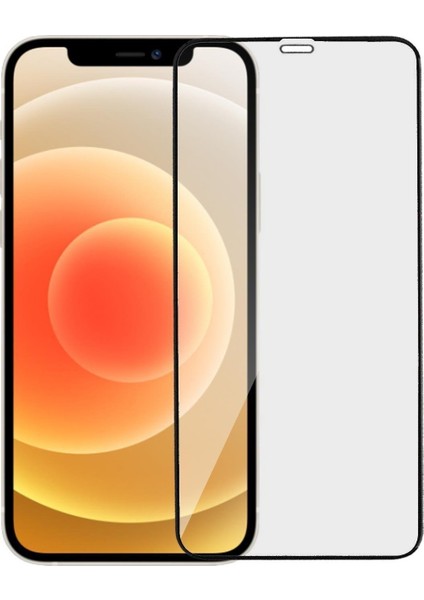 iPhone 12 Mat Ekran Koruyucu