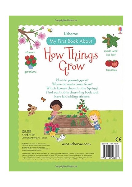 My First Book About How Things Grow - Felicity Brooks