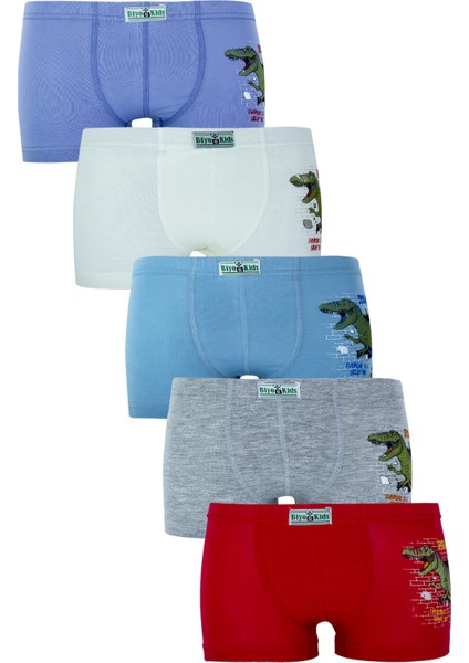 Erkek Çocuk Boxer 5'li Paket Karışık Renk Baskılı Boxer BYO2563