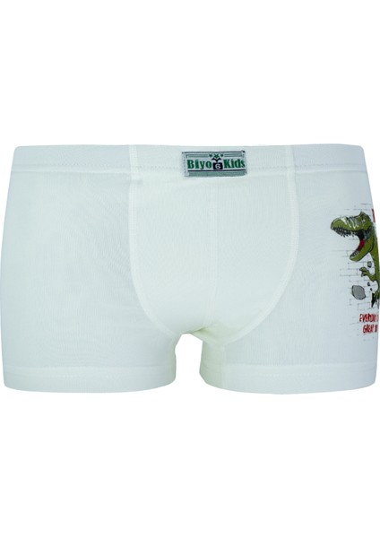 Erkek Çocuk Boxer 5'li Paket Karışık Renk Baskılı Boxer BYO2563