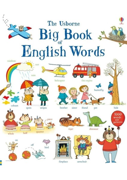 Big Book Of English Words - Mairi Mackinnon