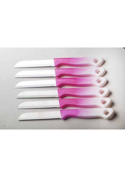 Meyve Sebze Bıçağı 6 Adet (Tırtıklı 1.kalite)