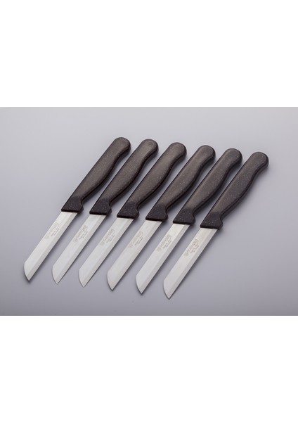 Solingen Meyve Sebze Bıçağı 12 Adet Simli Desen (1.kalite,tırtıklı)