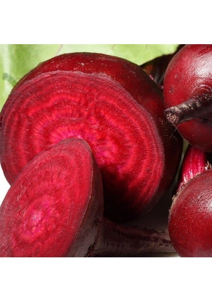 Cylindra Şişman Uzun Pancar Tohumu (40 Tohum)