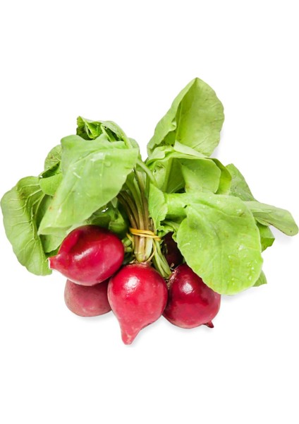 Kırmızı Fındık Turp Tohumu (500 Gram)