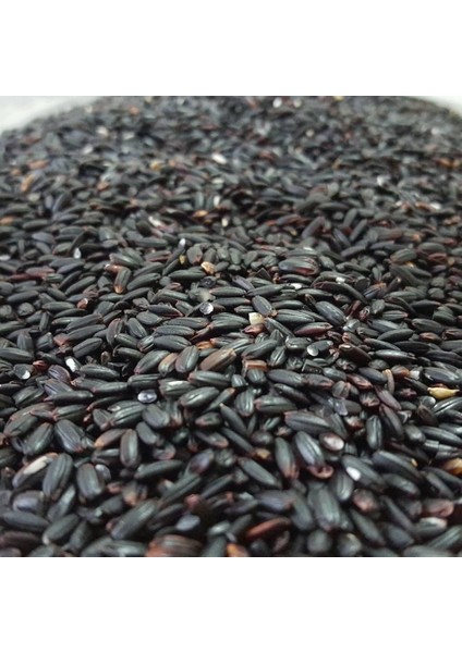 Doğal Siyah Pirinçtohumu (20 Tohum)