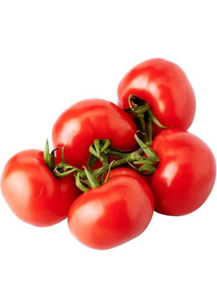 Doğal Manitabo Domates Tohumu(20 Tohum)
