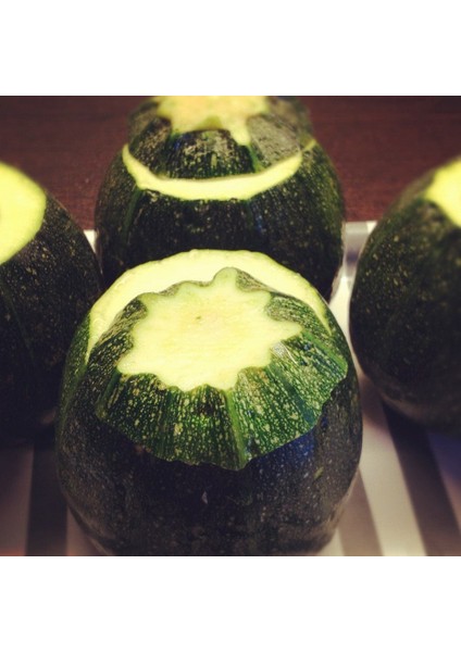 Yazlık Dolmalık Topak Kabak Tohumu (10 Tohum)