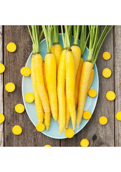 Doğal Solar Yellow Havuç Tohumu (50 Tohum)