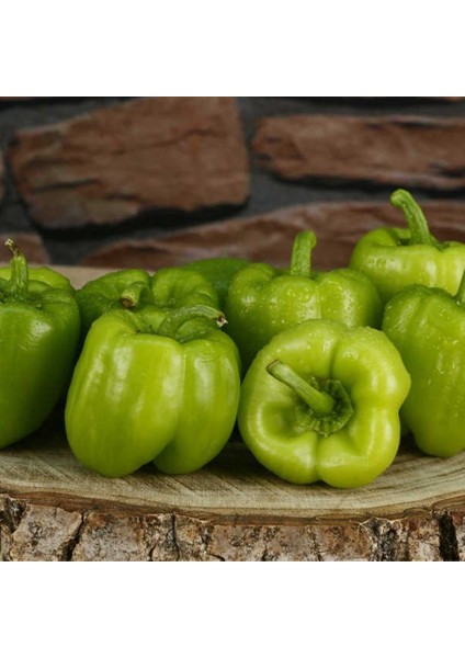 Doğal Kandil Dolmalık Biber Tohumu (20 Tohum)