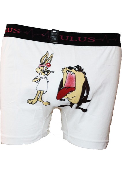 Tazmanya Canavarlı Beyaz Erkek Boxer