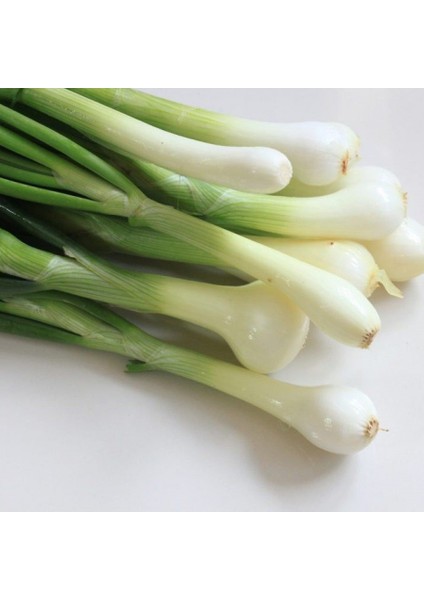 Doğal Yeşil Soğan Tohumu (20 Tohum)