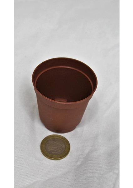 5,5cm Kahverengi Üretim Saksısı, 10 Adet, Kaktüs ve Sukulent Saksısı