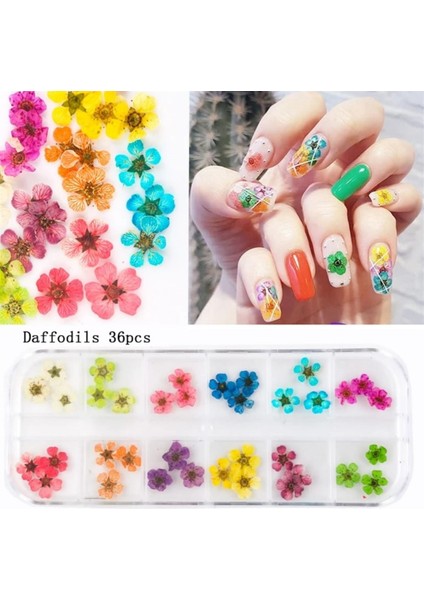 Nail Art kurutulmuş çiçek NG-145