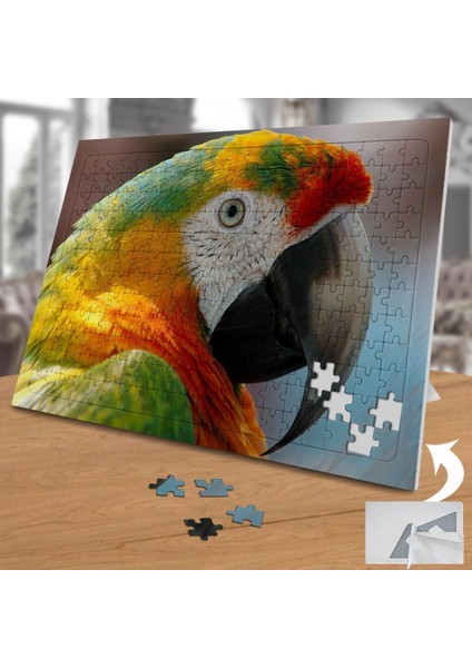 Renkli Afrika Papağanı 240 Parça Puzzle YAPBOZ-75463