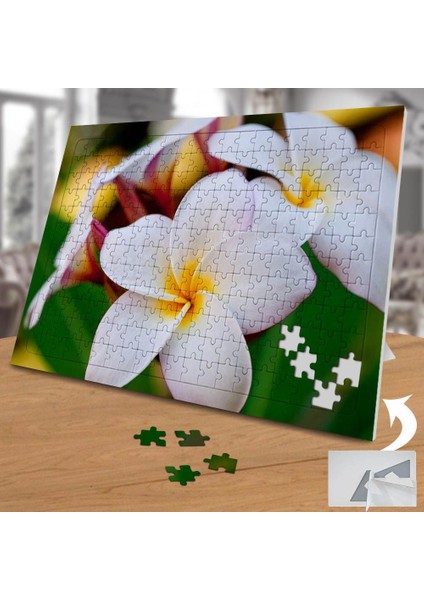 Beyaz Hoş Çiçek - Peyzaj 240 Parça Puzzle YAPBOZ-75136 fiyatları