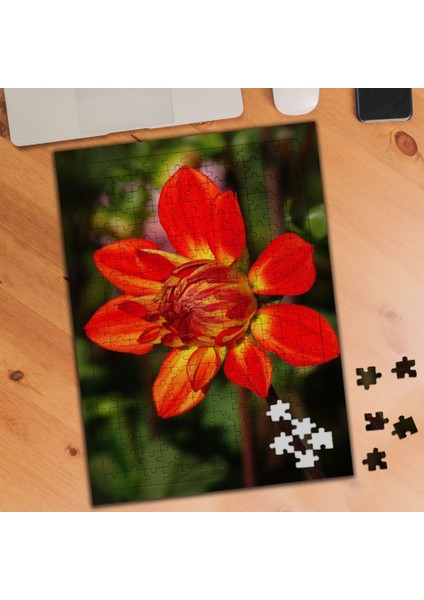 Kırmızı Açan Çiçek 240 Parça Puzzle YAPBOZ-482337