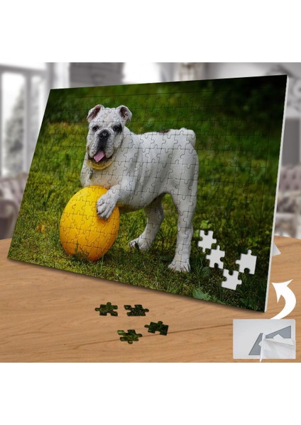 Top Oynayan,oyun Sever Köpek 240 Parça Puzzle YAPBOZ-562723