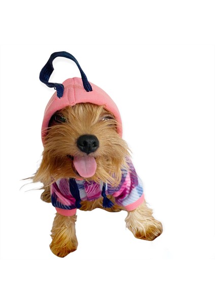 Mini Suqare Pie Kapşonlu Ceket Sweat By Kemique Köpek Kazağı S