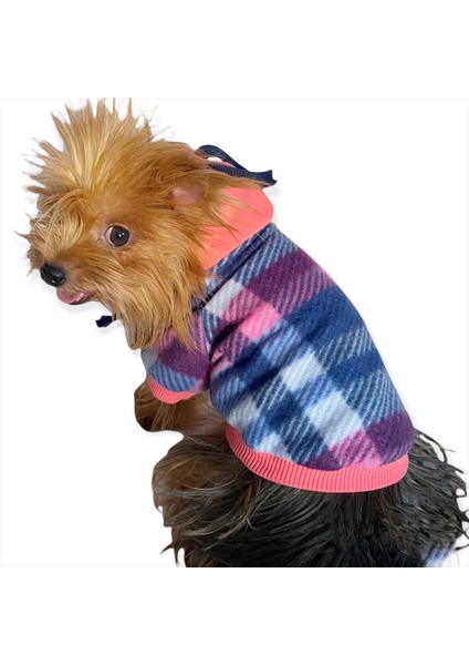 Mini Suqare Pie Kapşonlu Ceket Sweat By Kemique Köpek Kazağı S fiyatları