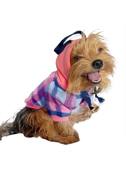 Mini Suqare Pie Kapşonlu Ceket Sweat By Kemique Köpek Kazağı S modelleri