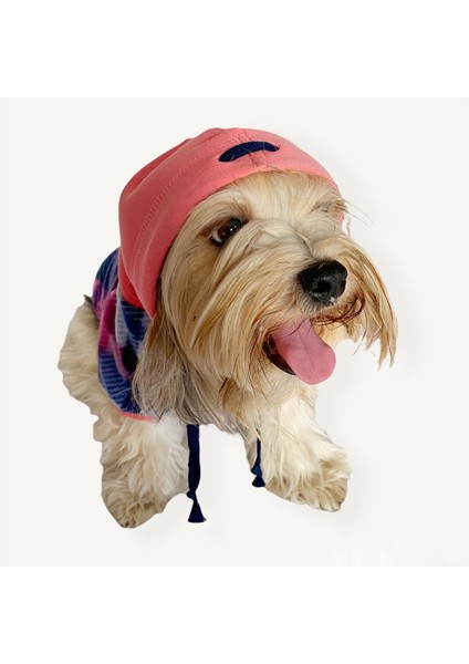Mini Suqare Pie Kapşonlu Ceket Sweat By Kemique Köpek Kazağı S indirimleri