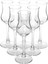 440111 Grappa 6'lı Kahve Yanı Bardağı 95 ml 2