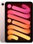 iPad Mini 64GB 8.3" WiFi Tablet - MLWL3TU/A Pembe 2