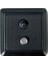 Qs-36 Plate Siyah 1
