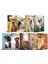 Köpek Temalı Süresiz Planlama Defter Seti 13,5 x 21 cm 9'lu 1