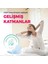 Ultra Normal 60 + Gece 42 + Uzun 48 Adet Aile Paketi - 18 Paket 4