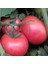 Pembola F1 Pembe Domates Tohumu (20 Tohum) 1
