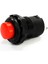 Push Buton 10 mm Yaylı 1