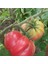 Bizimköy F2 Domates Tohumu (10 Tohum) 1