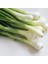 Doğal Yeşil Soğan Tohumu (20 Tohum) 1