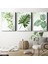 Yapraklar 3 Parça Kanvas - Canvas Tablo 1