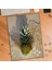 Denizde-Ananas 240 Parça Puzzle YAPBOZ-4483 1