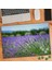 Mor Lavanta Bahçesi - Peyzaj 240 Parça Puzzle YAPBOZ-75119 1