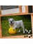 Top Oynayan,oyun Sever Köpek 240 Parça Puzzle YAPBOZ-562723 1