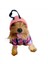 Mini Suqare Pie Kapşonlu Ceket Sweat By Kemique Köpek Kazağı S 1